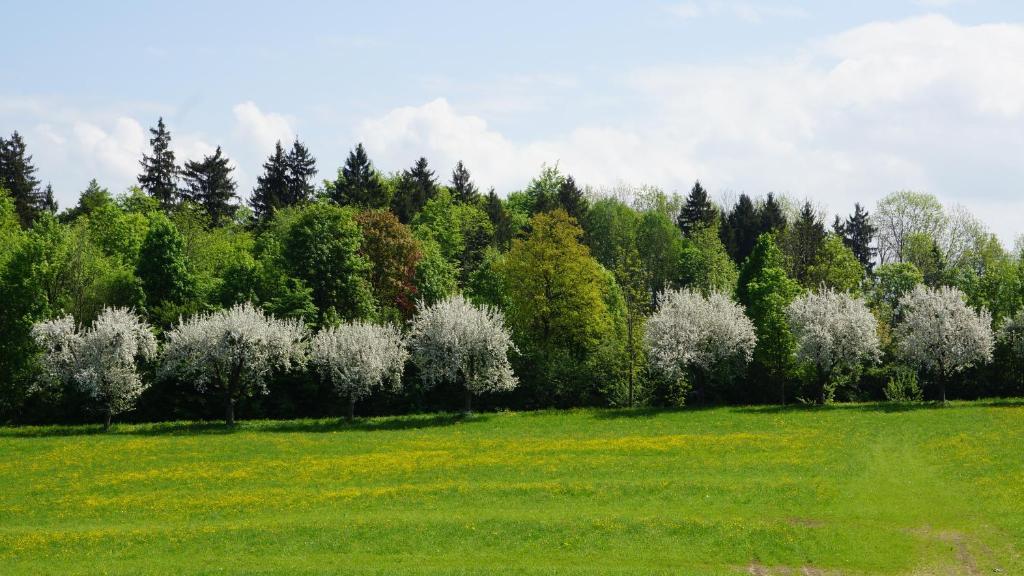 Gaestehaus Funk Bad Feilnbach Buitenkant foto