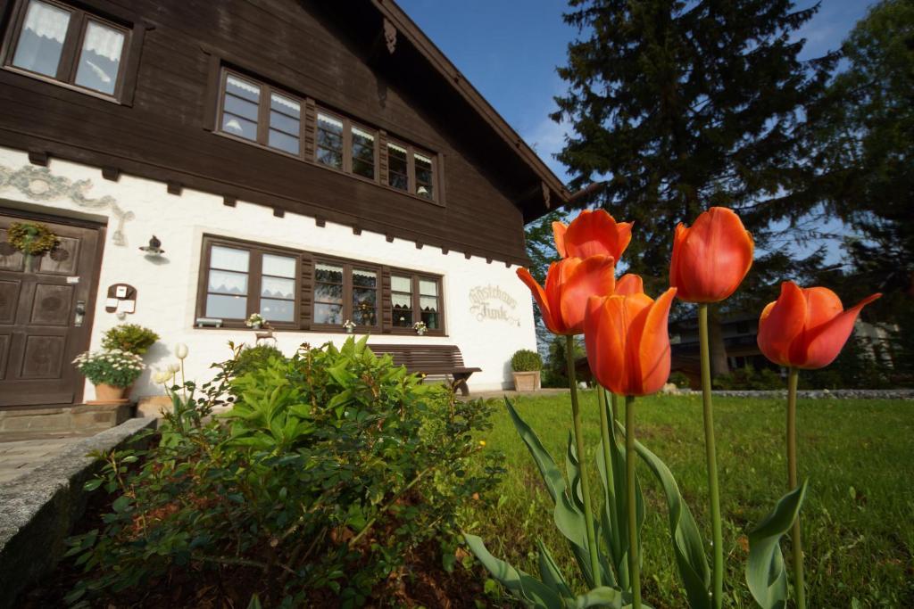 Gastehaus Funk Hotel Bad Feilnbach Buitenkant foto