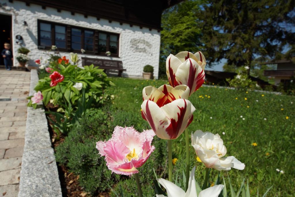 Gastehaus Funk Hotel Bad Feilnbach Buitenkant foto